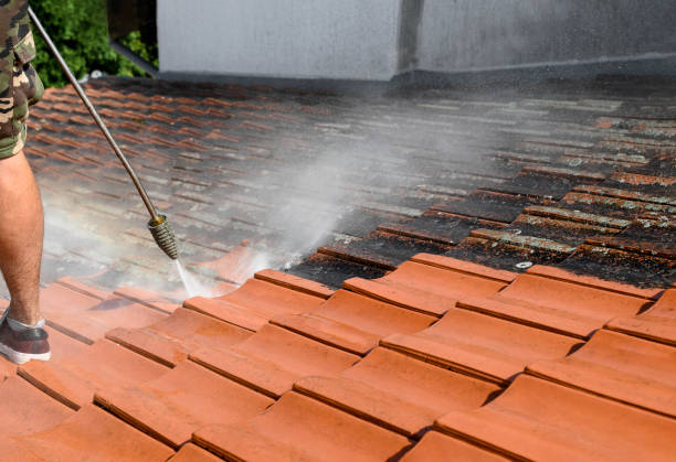Best Deck Cleaning Services  in New Milford, NJ